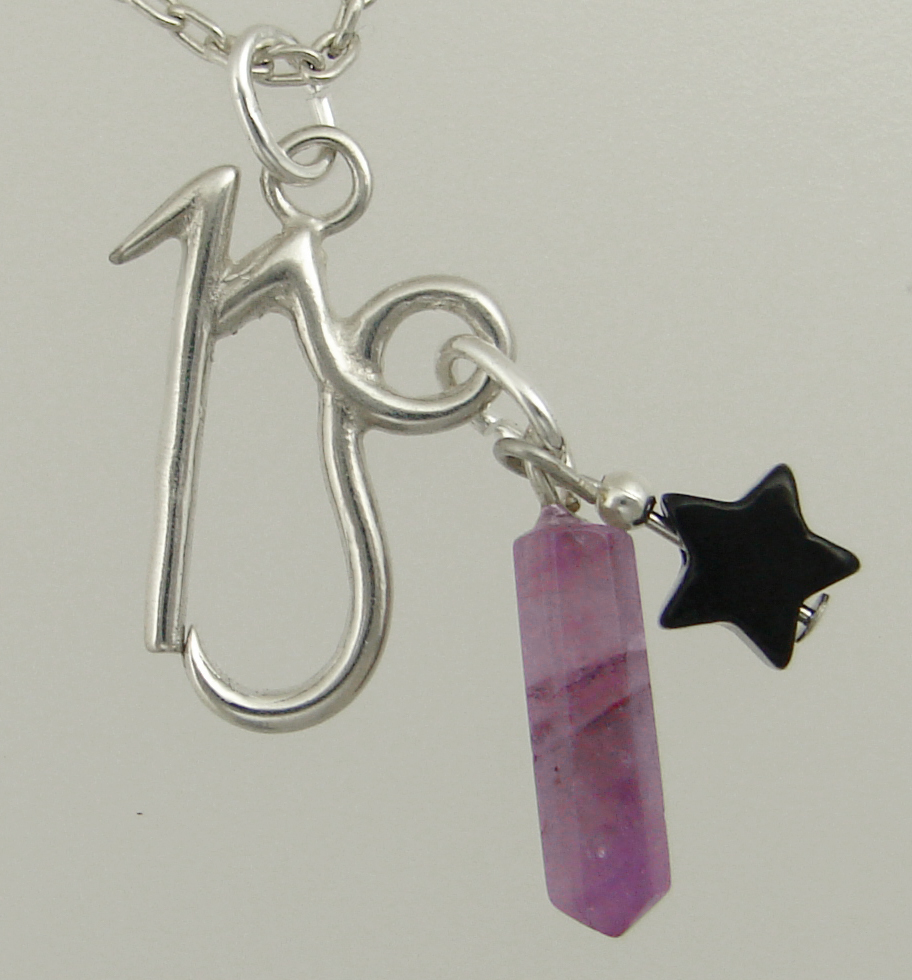 Sterling Silver Capricorn Pendant Necklace With an Amethyst Crystal And a Black Onyx Star